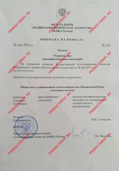 Документы и фотографии - Кривская С. А.