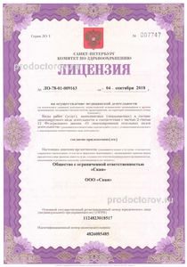 Лицензия