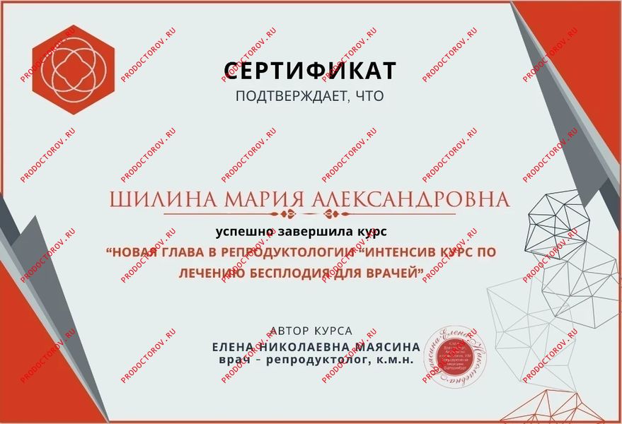 Документы и фотографии - Шилина М. А.