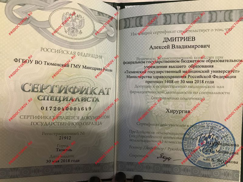 Документы и фотографии - Дмитриев А. В.