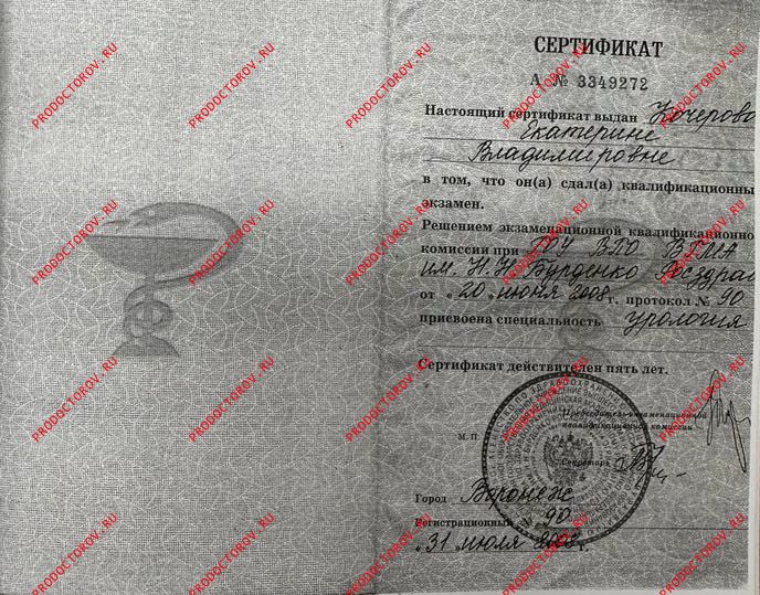 Документы и фотографии - Пилипенко Е. В.