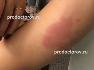 Читать отзывы о службе поддержки пользователей gosuslugi.ru