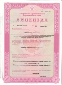Лицензия 2020