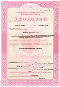 Лицензия Лицензия
